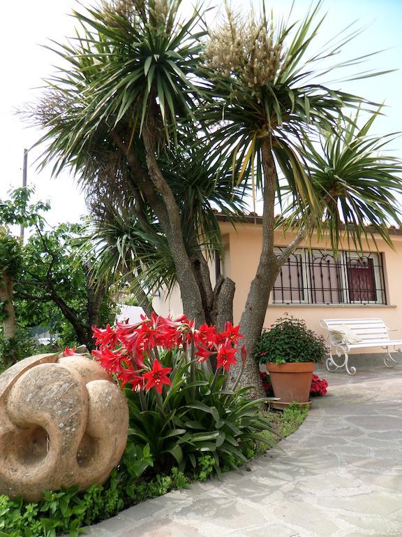 B&B Villino Lory Marino Rom bilde
